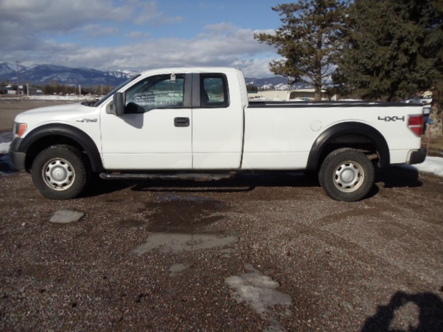 2010 White /Tan Ford F-150 XL (1FTVX1EV2AK) with an 5.4L V8 Gas engine, Automatic transmission, located at 5465 Highway 2 W., Columbia Falls, MT, 59912, (406) 892-4407, 48.352188, -114.240929 - Photo#3